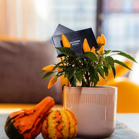 Pumpkin Spiced Suite With Own Parking And Office Setup Sofia Exterior photo
