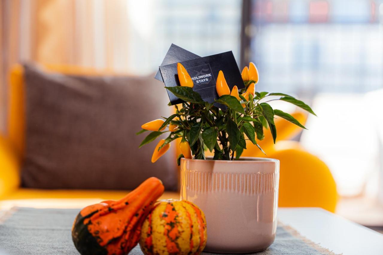Pumpkin Spiced With Own Parking And Office Setup Apartament Sofia
